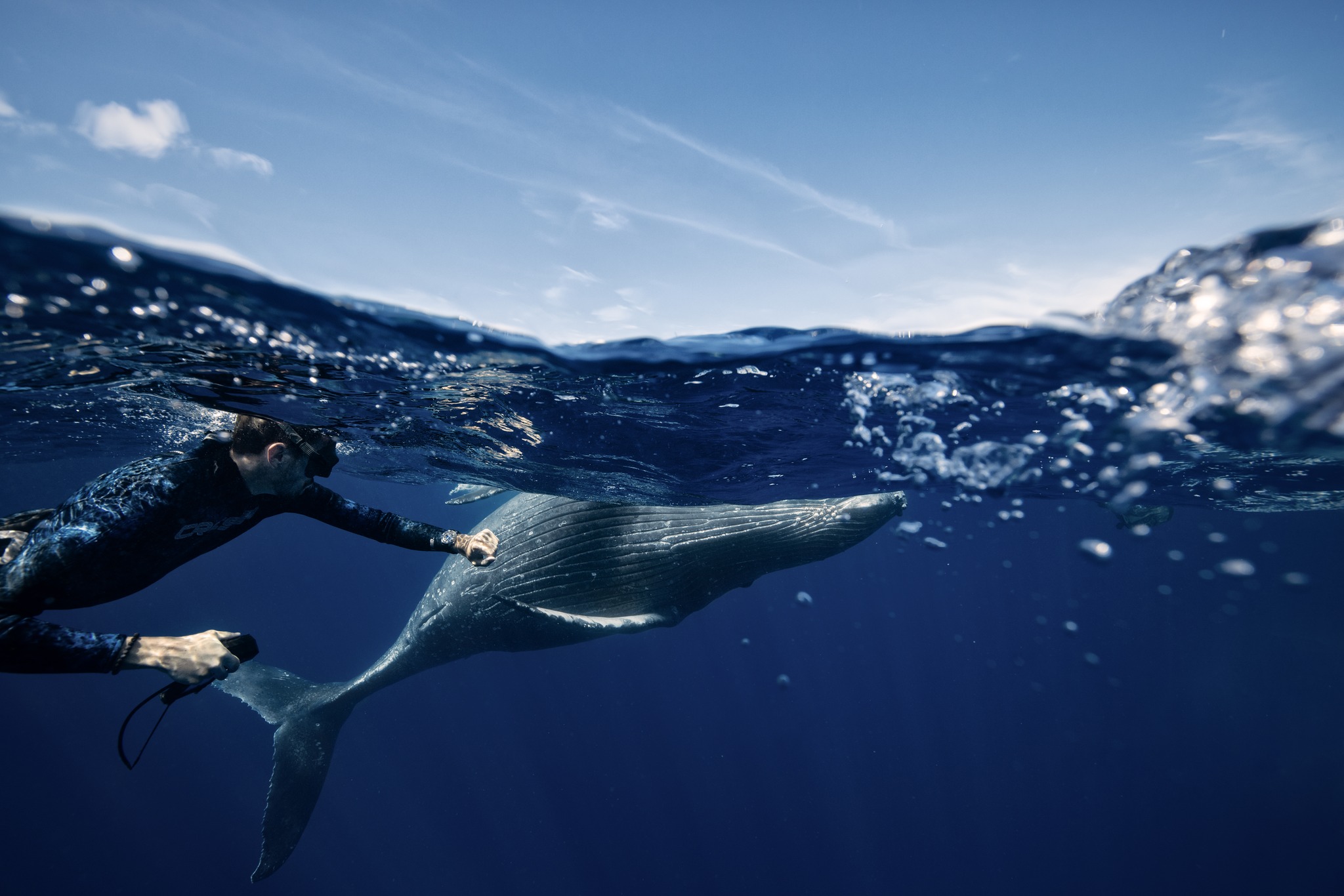 CRESSI store -CRESSI store 449836557 869778938521138 6735442679692893790 n