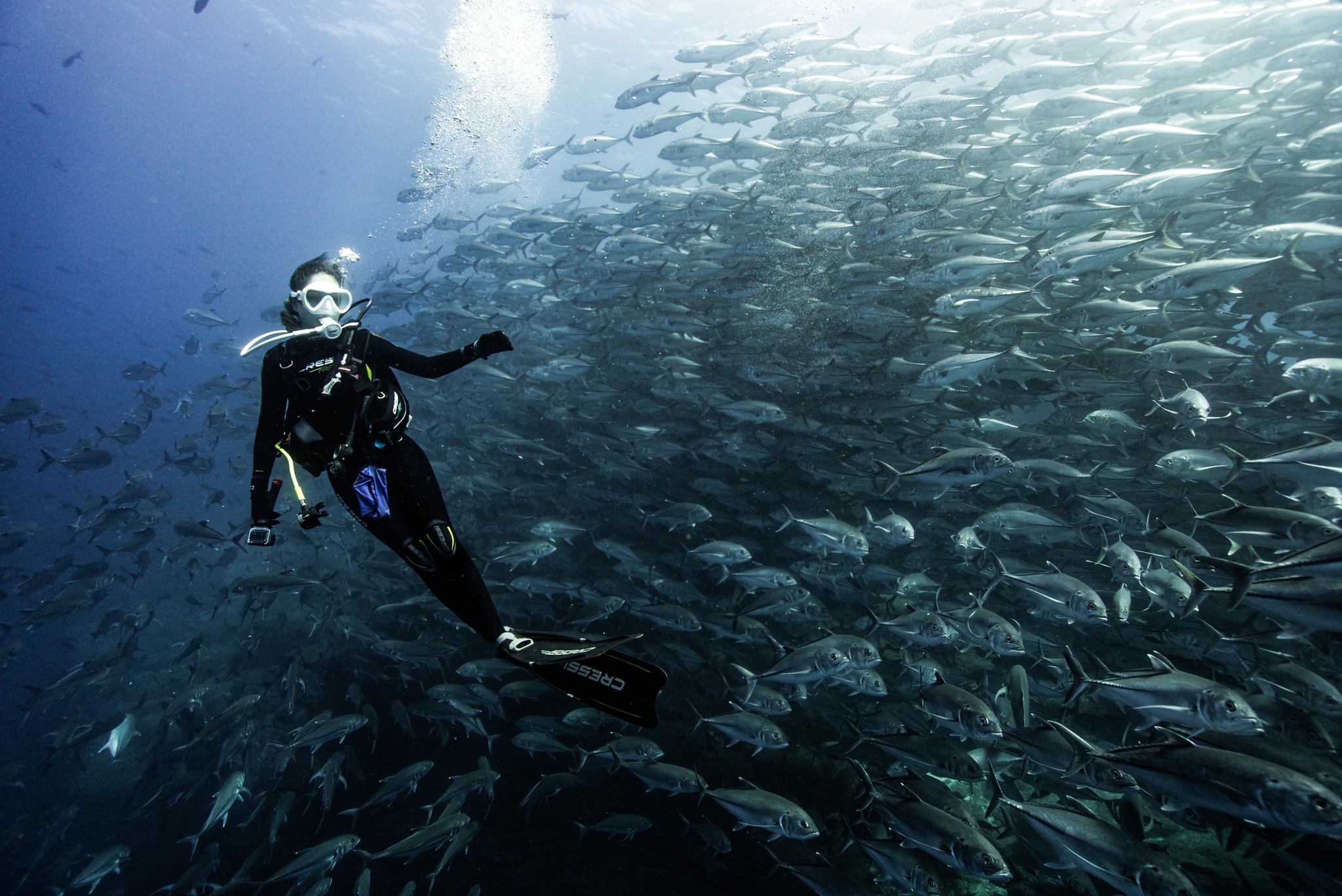 CRESSI store -CRESSI store 449854575 864136299085402 5002018191155842987 n